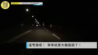 【直擊#50】台東｜車禍直播！為自己的報應喝采吧！