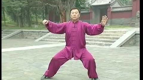 張東武 Zhang Dongwu - 老架一路 Laojia Yilu (Old Frame First Form) 7