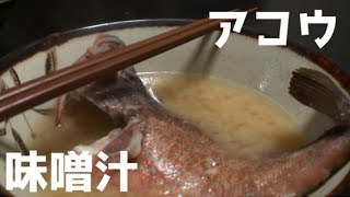 釣った高級魚アコウを味噌汁にした！