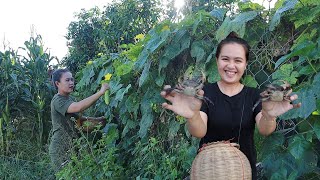 Yummy crab soup with melon recipe in my village