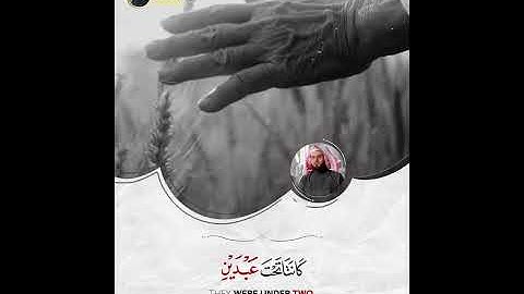 ماتيسر من سورة التحريم || الشيخ رعد الكردي ✨