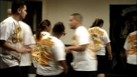 ALPHA PSI LAMBDA EPSILON CHAPTER   PLEDGE DANCE FALL 08