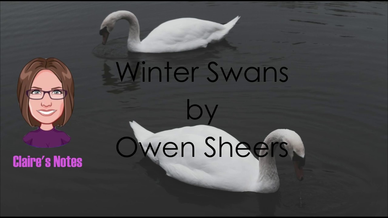 Winter Swans by Owen Sheers (detailed analysis) YouTube