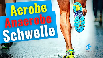 Wie hoch ist die anaerobe Schwelle?