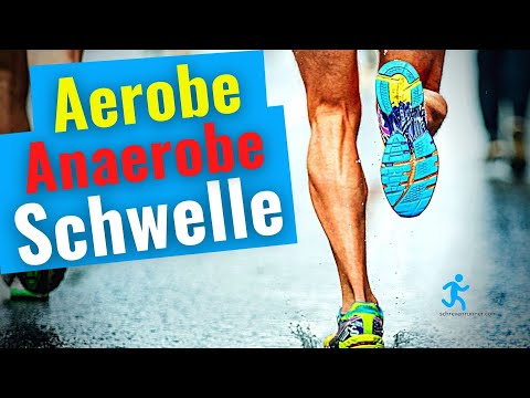 Video: War aerob oder anaerob zuerst da?
