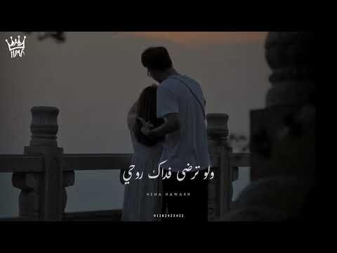 أجمل حالات واتس حب محمد حماقي حبيبي لقاك مطمني Hamaki