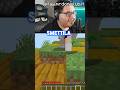 Hacker Molesto su Minecraft