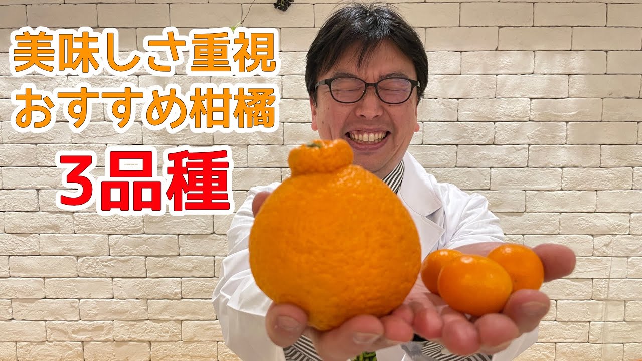 美味しさ重視おすすめ柑橘3品種　ナオ先生厳選