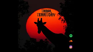 Tribal Territory 002 | African House Music