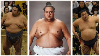 Takakeisho injury latest, Akebono tributes + other Sumo News (Apr 17th)