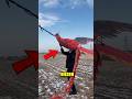 Der unglaubliche Riesenvogel aus China 😮