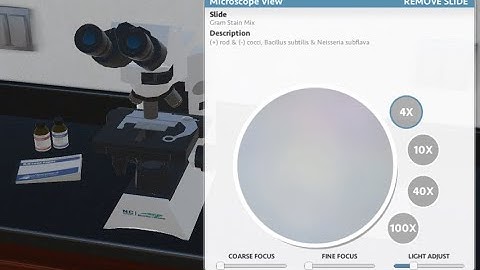 How to use Virtual Microscope