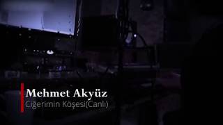 Mehmet Akyüz-Ciğerimin Köşesi Resimi
