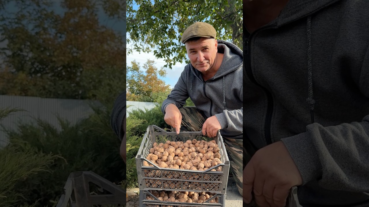 ДОМАШНЯЯ ВИАГРА из 6 ингредиентов – результат вас УДИВИТ!