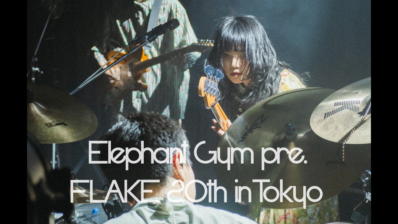 大象體操 Elephant Gym Live Moments from 