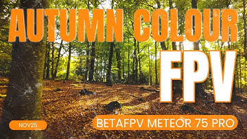 Brede High Woods Autumn Leaves | BetaFPV Meteor 75 Pro