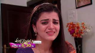 Akka Mogudu - Promo 13Th August 19 Gemini Tv Serial Telugu Serial