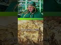 Königreich mit Hund