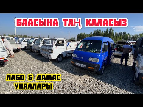 Video: Унаа дүкөнү баасын сүйлөшөбү?