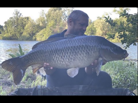 Pour prendre des carpes donne dans le mou by carpecanal.