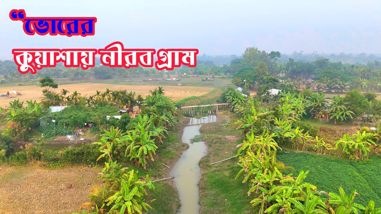 কুয়াশার ভেতর হারিয়ে যাওয়া গ্রাম | Cinematic Foggy Village Bangladesh