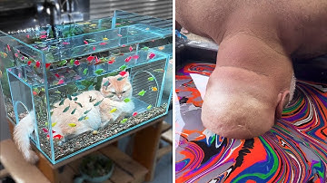 Try not to say WOW Challenge! | Best Satisfying Videos to relax you before Sleep #27