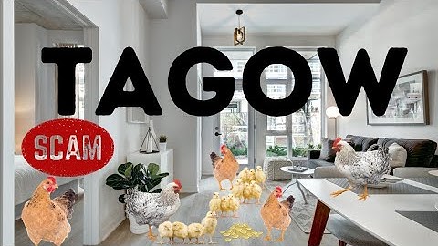 Messing with criminals : Geek squad scammer meets 12 angry chickens! (Explicit)