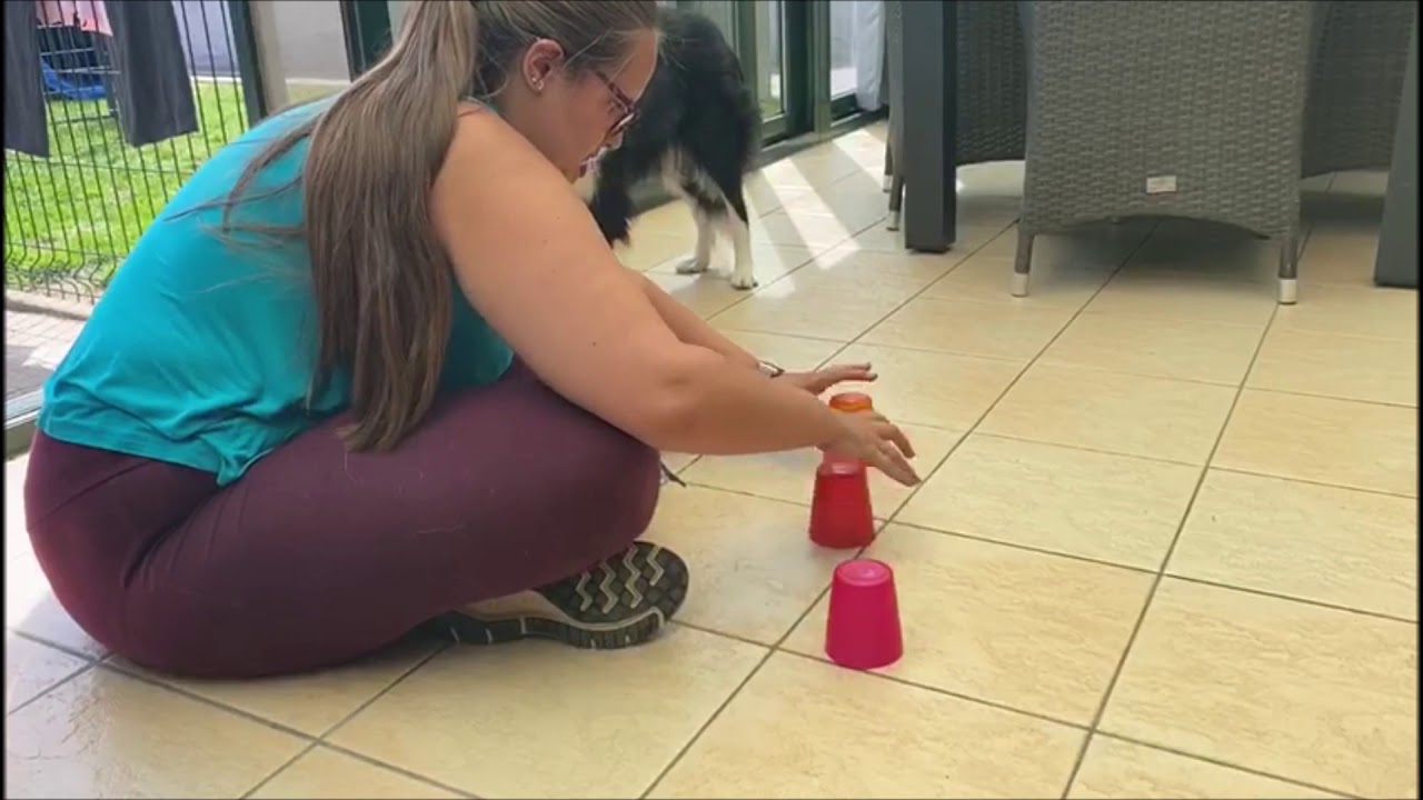 Countess of mystic realms at real pearl "aelynn" trick dog champion