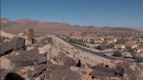 The Heat is On: Desert Tortoises & Survival (Part 3 of 4)