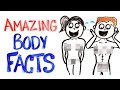 Why Your Body Is AMAZING!