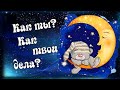 Как ты? Как твои дела? Вечерний позитивчик