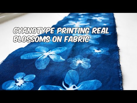 Cyanotype Printing Blossoms