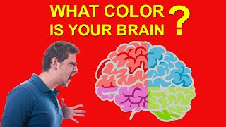 WHAT COLOR IS YOUR BRAIN?