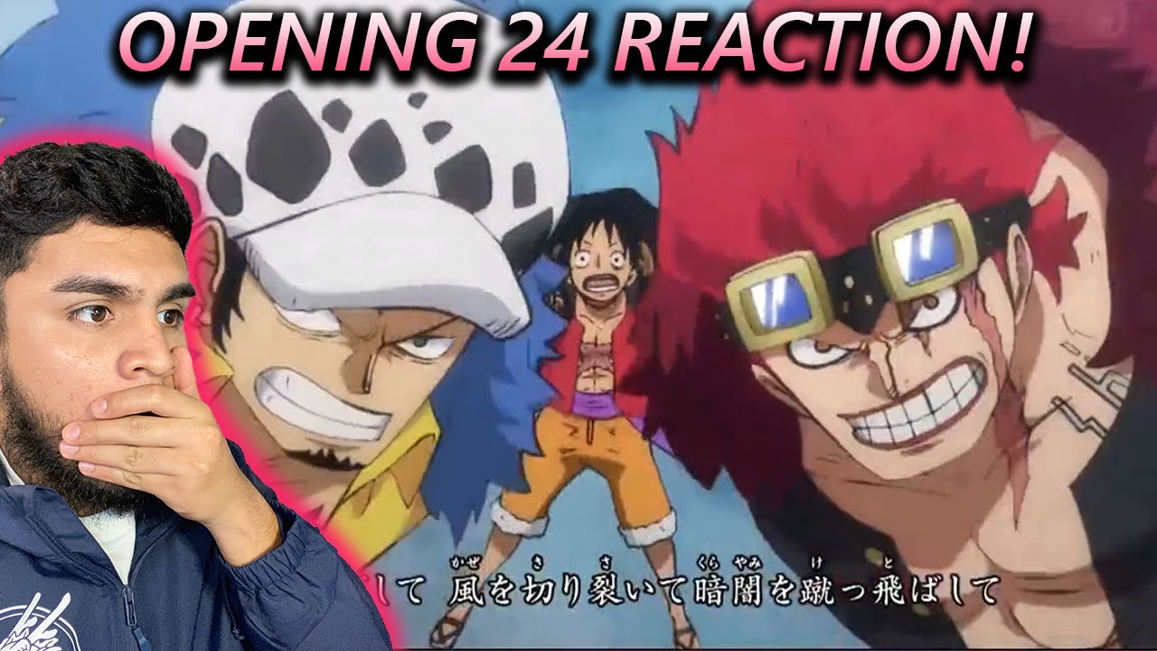 NEW ONE PIECE OPENING 24 REACTION!