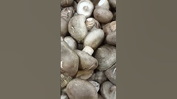 Thumbnail of SHIITAKE MUSHROOMS #cooking #food #ingredients
