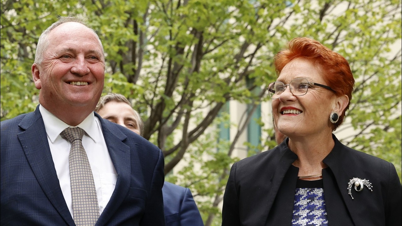‘They’re following instructions from socialists’: Barnaby on One Nation protests