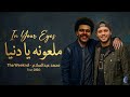 المزمار اللي مصر كلها بتدور عليه ملعونه يا دنيا دنيا محمد عبدالسلام 2026 The Weekend Dieo 