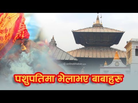 पशुपतिमा  थरीथरीका बाबाहरू
