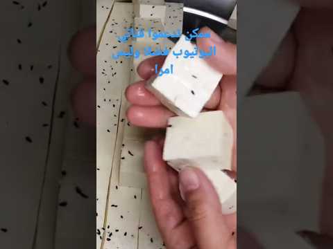 الجبن السوري الريفي الاصلي مضمونة جربوها رح تدعولي على طريقة اجدادنا طبخات سهلة