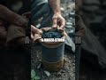 Whispers of the Boreal Marsh: Lessons in Subtle Survival