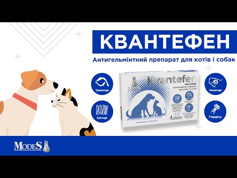 Антигельминтный препарат в таблетках для котов, котят, собак и щенков со вкусом говядины Квантефен MODES, Kvantefen 1 таблетка, видео 1