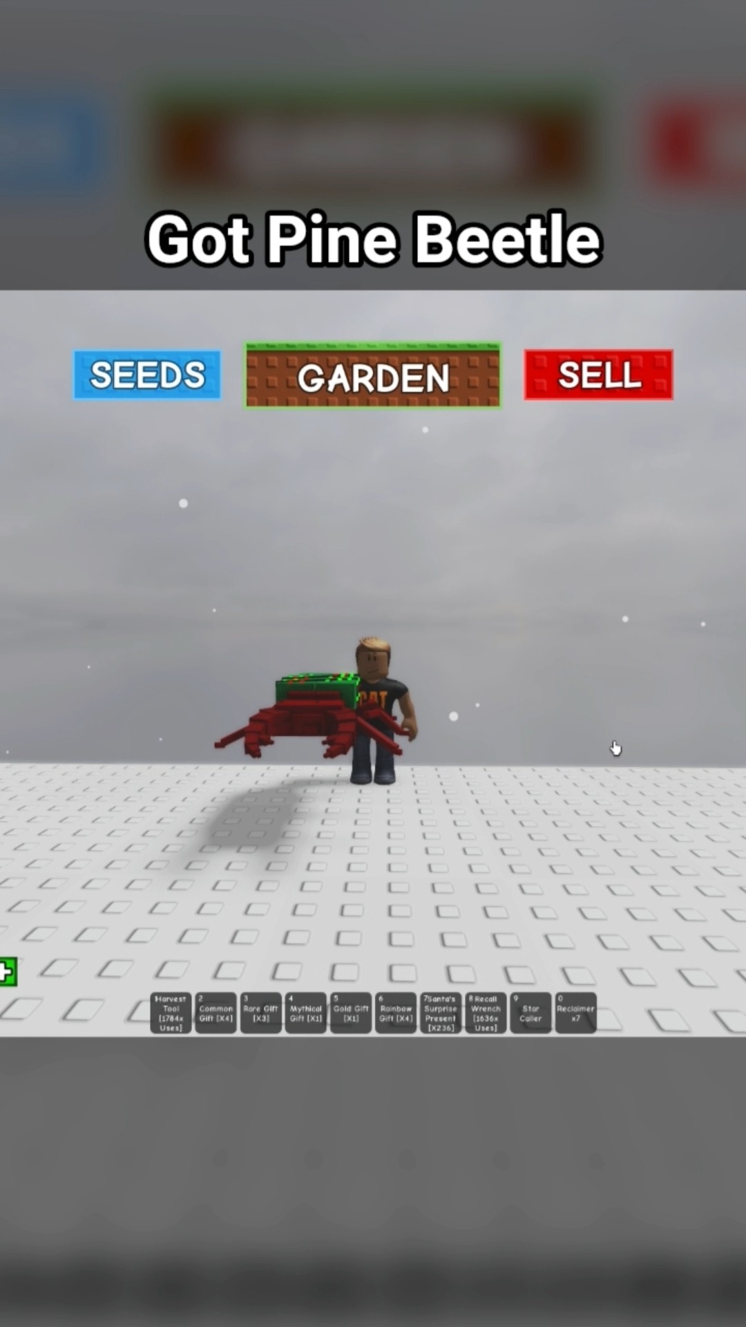 Got Pine Beetle Roblox Grow A Garden YouTube Oardefault 