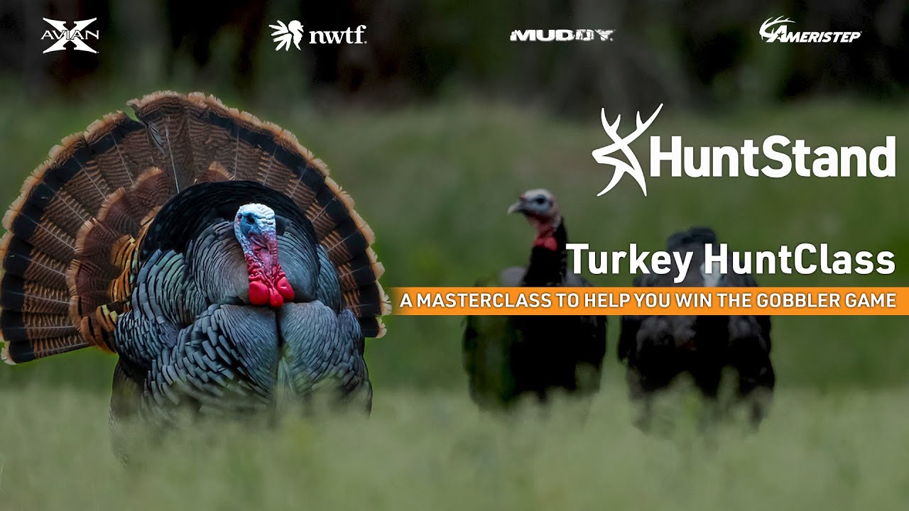 HuntStand Turkey HuntClass A MASTERCLASS To Help You Win The Gobbler huntstand-turkey-huntclass-a-masterclass-to-help-you-win-the-gobbler