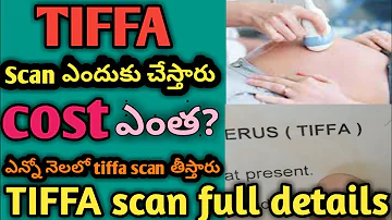 tiffa scan full details in telugu | tiffa scan in 5th month pregnancy telugu-tiffascan how much cost