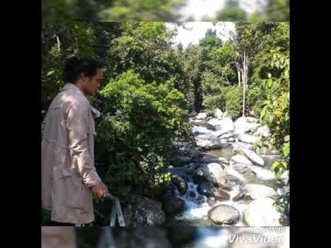 Zalmon_ Nan Takambang Elok Dilipek