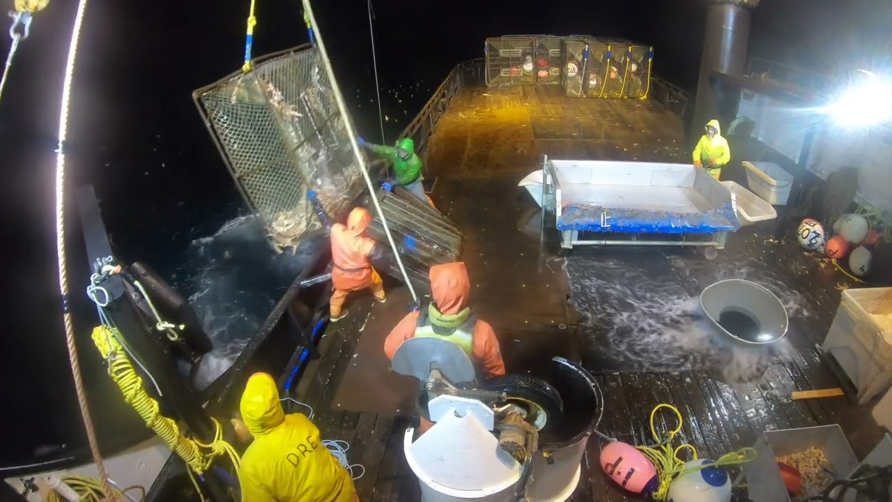 Bearing Sea Crab Fishing