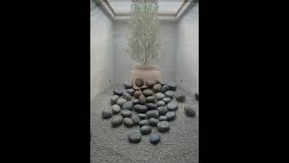 Bringing the Outdoors In #biophilicdesign #shorts