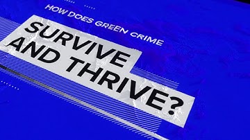 Green Crime: The Hidden Threat | A Refinitiv Data Moment