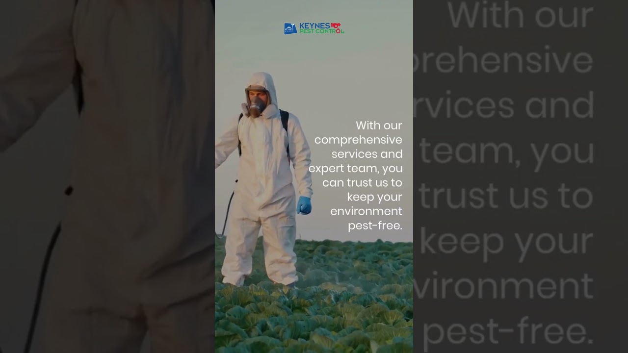 Best Pest control Services in Dubai.         