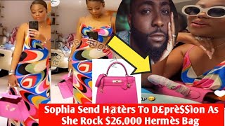 Silent Billionaire Sophia Momodu H@t£rs Stand Still As She Rock Multimillion Dollars  Hermès Bag